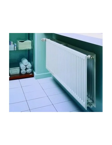 Grzejnik płytowy Purmo Hygiene H20 300x400, 