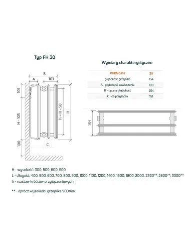Grzejnik płytowy Purmo Plan Hygiene FH30 300x400, boczne podłączenie  Grzejnik płytowy Purmo Plan Hygiene FH30 300x400, boczne podłączenie